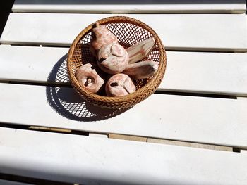 Close-up of bird in basket