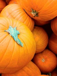 Full frame shot of pumpkins