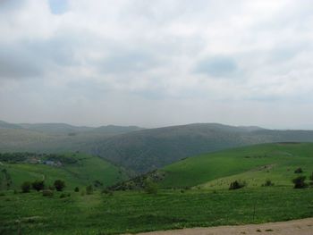 Scenic view of agricultural field against sky