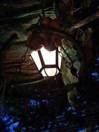 Low angle view of illuminated lamp hanging on tree