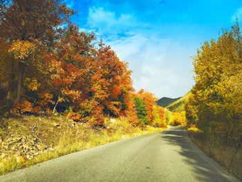 Road amidst trees against sky during autumn