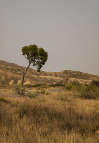 Landscape of tabernas desert, almeria, spain