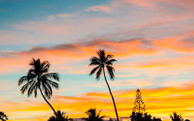 Low angle view of silhouette palm trees against romantic sky