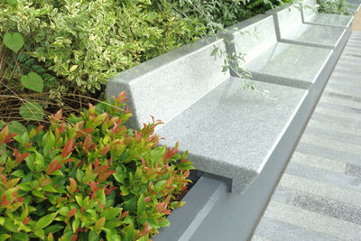 High angle view of potted plants in park