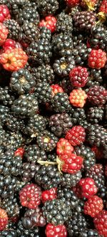 Full frame shot of grapes