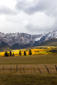 Scenic view of field against sky