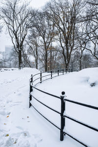 Snow covered field by trees
