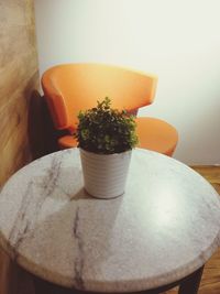 Close-up of potted plant on table at home