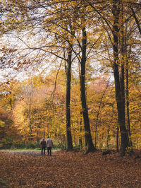 Rear view of people walking in forest during autumn