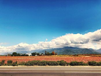 Scenic view of field against blue sky