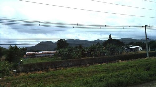 Scenic view of trees and buildings against sky