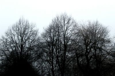 Low angle view of bare trees against sky