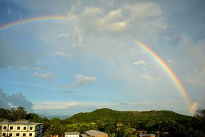 Rainbow over trees against sky