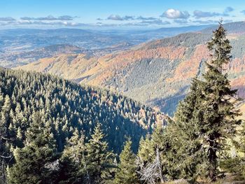 High angle view of trees and mountains against sky