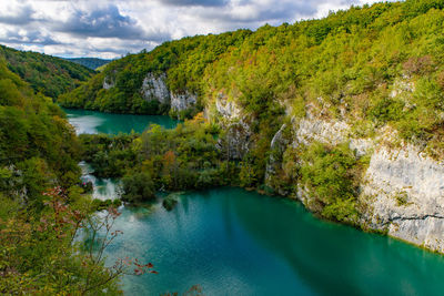 Scenic view of lake by trees against sky