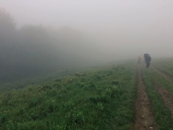 Rear view of man walking on landscape in foggy weather