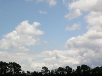 Low angle view of trees against cloudy sky