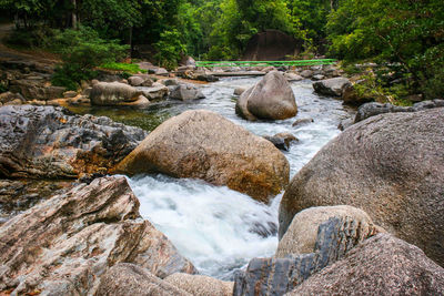 Scenic view of waterfall in forest