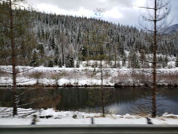 Frozen lake in forest during winter