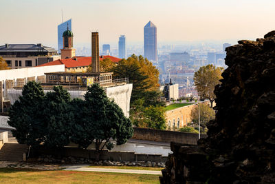 Trees in park with city in background