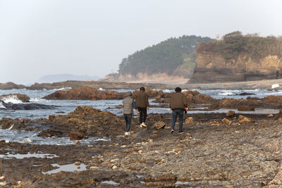 Rear view of friends walking on rocks at gyeokpo beach