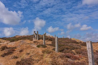 Panoramic view of wooden posts on field against sky