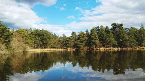 Reflection of trees in calm lake against cloudy sky