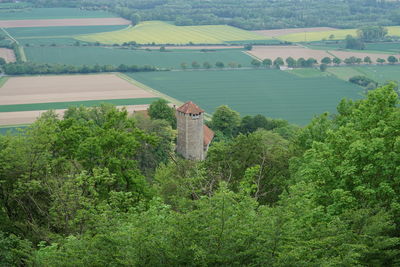 High angle view of trees on landscape