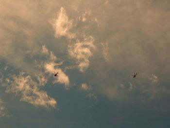 Low angle view of airplane flying in sky