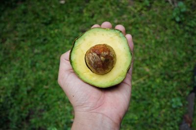 Close-up of hand holding apple