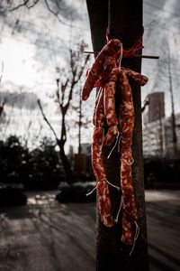 Low section of person hanging on clothesline