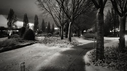 Trees in cemetery against sky at night