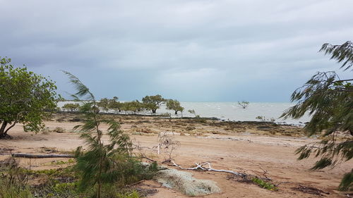 Scenic view of beach against sky
