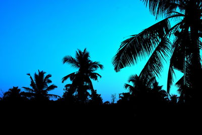 Low angle view of silhouette palm trees against clear blue sky