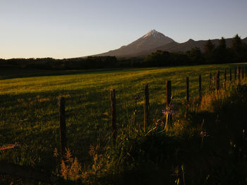 Scenic view of landscape