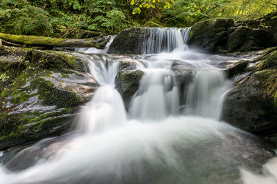 Scenic view of waterfall in forest