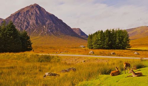 The scottish highlands