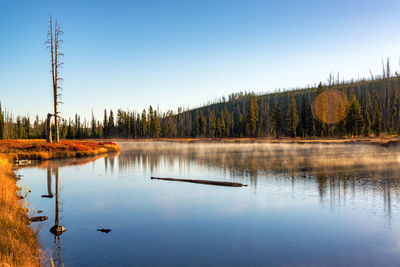 Scenic view of lake