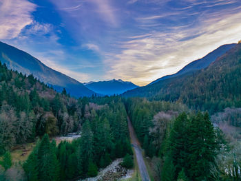 environment