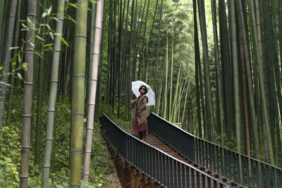 View of a woman in the bamboo forest