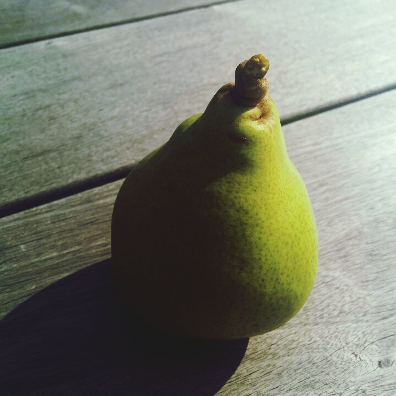 animal themes, one animal, bird, close-up, wood - material, indoors, wooden, perching, wildlife, animals in the wild, fruit, green color, focus on foreground, no people, table, yellow, wall - building feature, full length, day, food