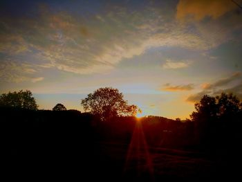 Silhouette trees against sky during sunset