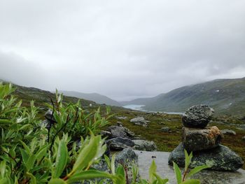 Scenic view of landscape against sky