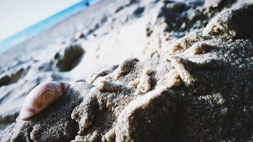 Close-up of snow on beach