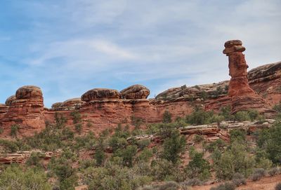 Landscape of greenery and rounded stone formations in utah