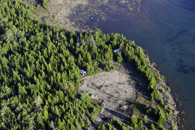 High angle view of plants on land