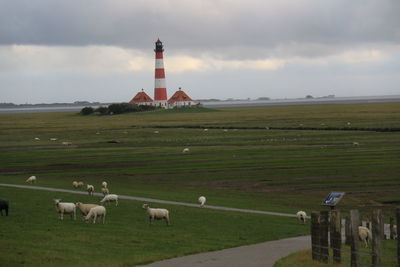 Grassy field against cloudy sky