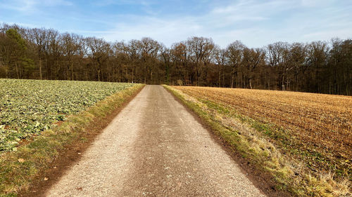 Road amidst field against sky