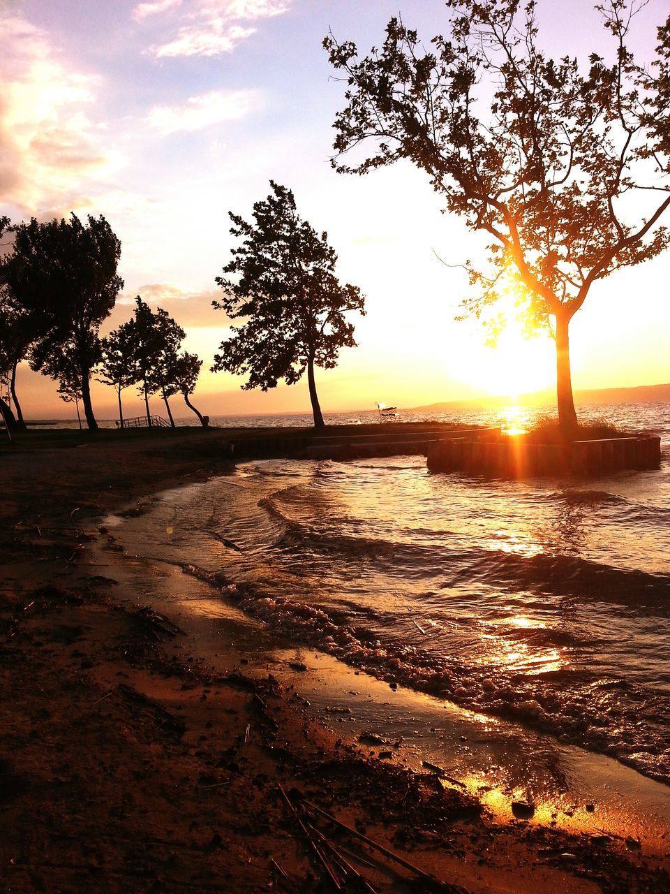 sunset, water, sun, scenics, sea, tranquil scene, silhouette, tranquility, beauty in nature, tree, sunlight, sky, nature, orange color, reflection, beach, idyllic, sunbeam, lens flare, shore