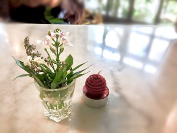 Close-up of potted plant on table